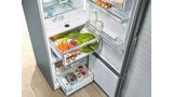 frost free fridge freezer