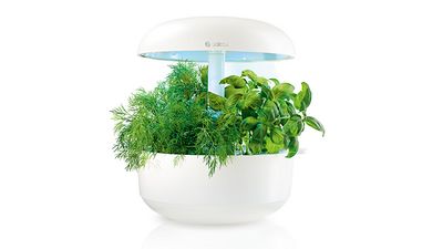 Smart Indoor Gardening mit gedeihenden Pflanzen.