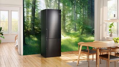 Черен хладилник на фона на природата.