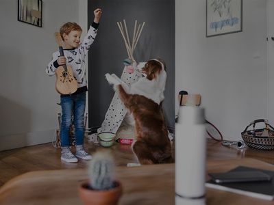 Ein Kind mit einer Ukulele spielt mit dem Hund in einem hellen Wohnzimmer.