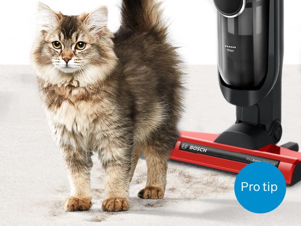 Mačka stoji ispred akumulatorskog usisivača koji usisava njenu dlaku.
