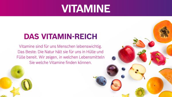 Die Infografik zeigt die wichtigsten Vitamine auf.