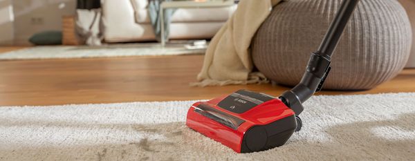 A red ProAnimal vacuum cleaner on a white carpet next to animal hair is shown