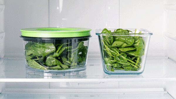 Animated GIF showing how vacuum sealed spinach stays fresh for longer.