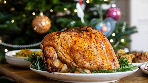 christmas roast turkey