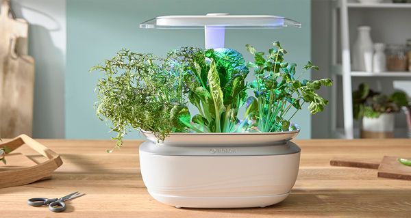 SmartGrow Life sitting on kitchen table with herbs and vegetables.