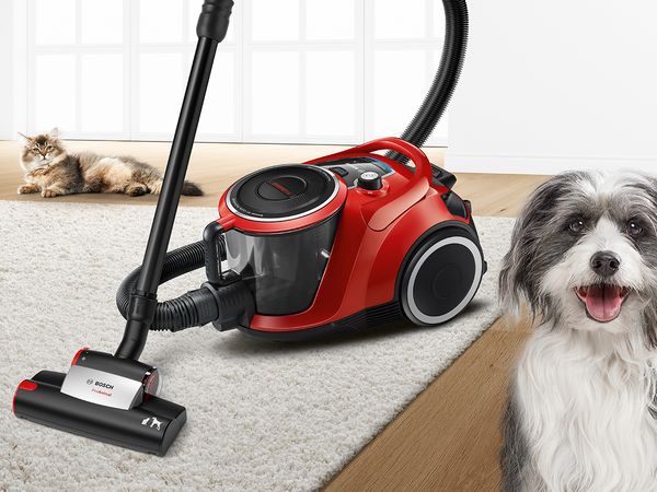 Ein Bosch ProAnimal Staubsauger steht auf einem Teppich, daneben sind eine Katze und ein Hund abgebildet.