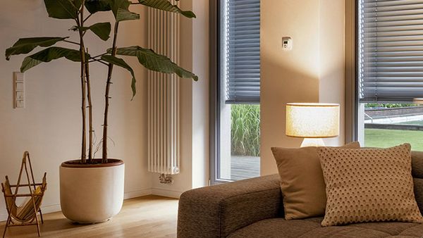 Ein Wohnzimmer mit einem Sofa, einer großen Zimmerpflanze und einer Tischlampe.