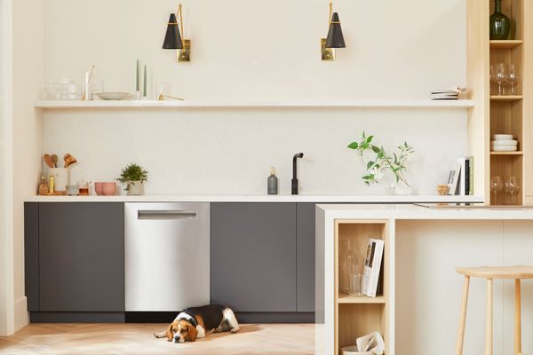 Kitchen design for Bosch stainless steel Dishwashers