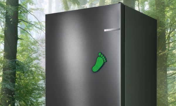 Green Collection fridge freezer in front of a photo wallpaper which shows a sunlit forest.