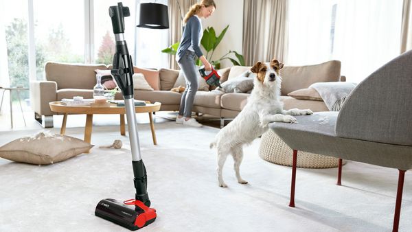 A dog on the hardwood floor next to a ProAnimal model vacuuming up dog hair.