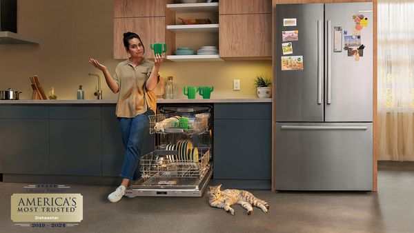 Bosch quiet dishwasher with cat sleeping in front