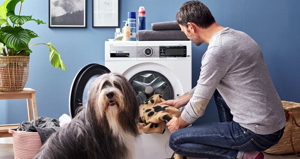 Ein spezielles Allergieprogramm der Waschmaschine hilft bei einer Hundehaarallergie.