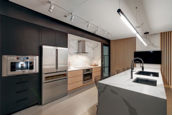 Cuisine avec plante décorative sur plan de travail et four encastré en dessous.