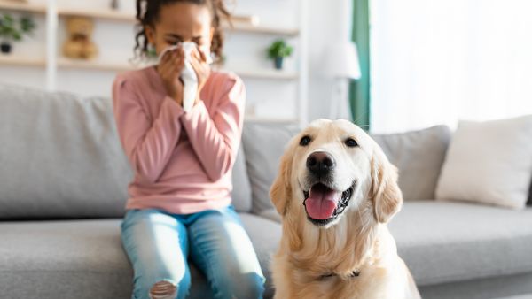 A girl sneezing on a couch with a dog in front of her