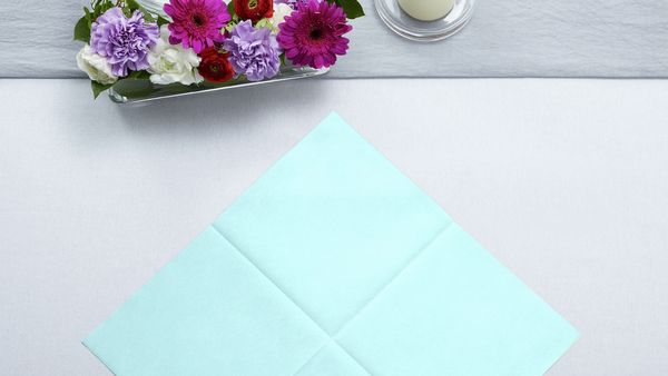 Unfolded napkin