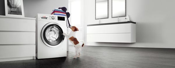 Higijenski čista odeća, čak i na 20 °C pomoću Bosch mašina za pranje veša iz Serije 6 i 8.