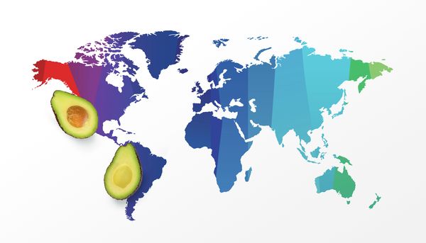 Kort over avocadooprindelser med halverede avocadoer.