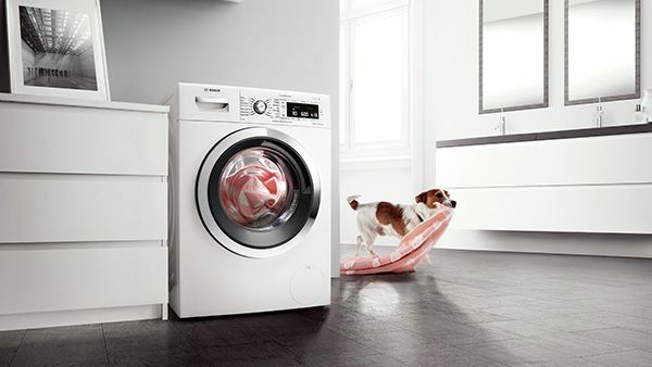 En liten hund bærer teppet sitt rundt hjørnet på en Bosch vaskemaskin.