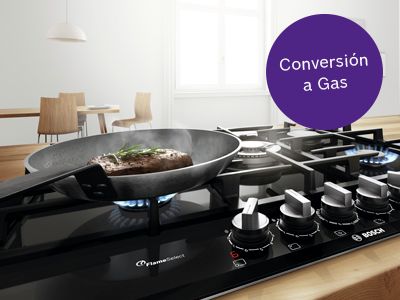 conexion gratuita