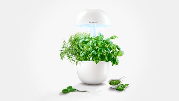 Kräutergarten SmartGrow für 3 Pflanzen