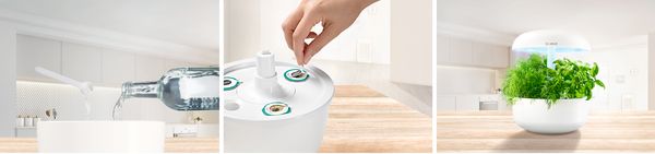 SmartGrow der elegante Kräutergarten für zuhause