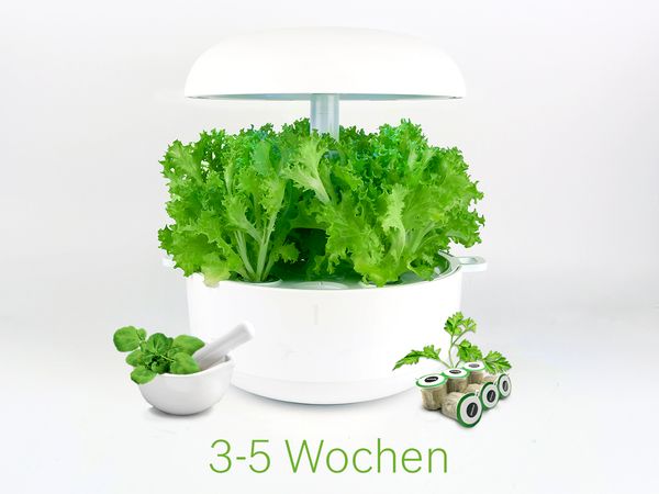 Samenkapseln für schnell wachsende Pflanzen