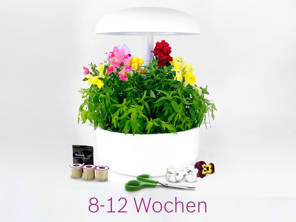 Samenkapseln für langsam wachsende Pflanzen