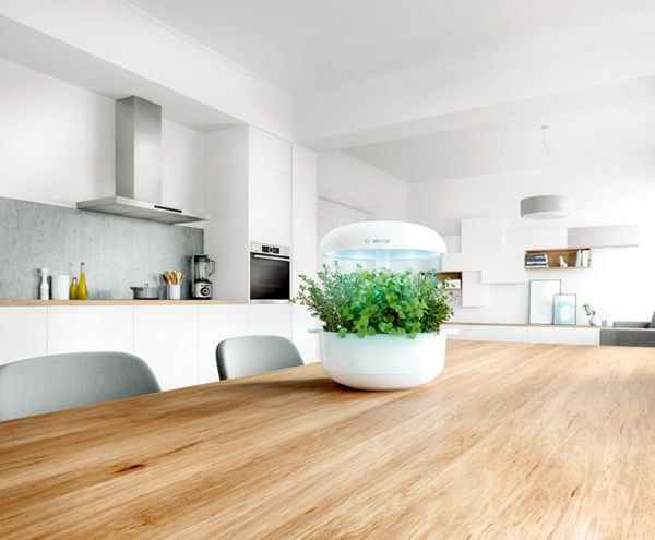 Indoor Gardening: Bosch SmartGrow makes it possible.