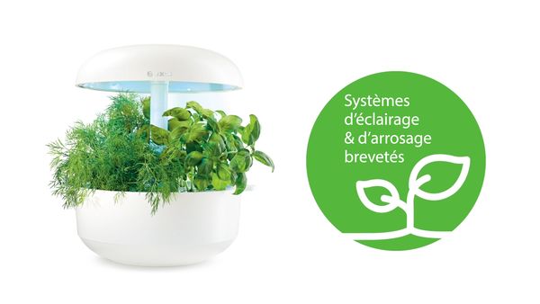 SmartGrow de Bosch : Hydroponie active.