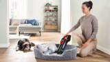 A cat is sitting on a blue sofa. A second cat stands on a carpet.
