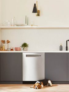 the Home Appliances Kitchen Bosch | Own #LikeABosch