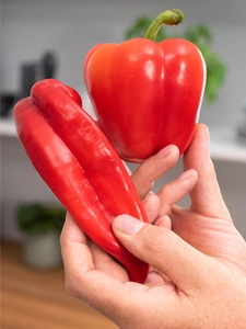 A pair of hands holds up two whole red peppers.