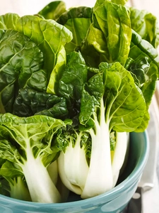 Bunches of bok choy in a blue bowl.