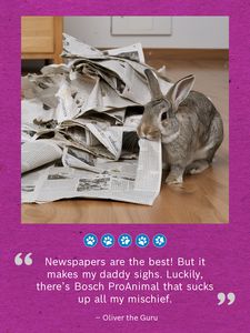 Rabbit-Vacuum-Chewed-Newspapers