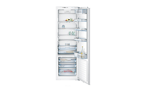 Built-in fridges
