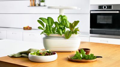 Bosch SmartGrow Life: Anpassungsoptionen f&uuml;r deinen Indoor-Garten