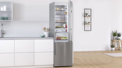 Freestanding bottom mount fridge freezer