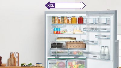 XXL hladilniki z zamrzovalnikom