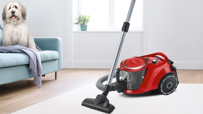 Vacuum cleaners bagless