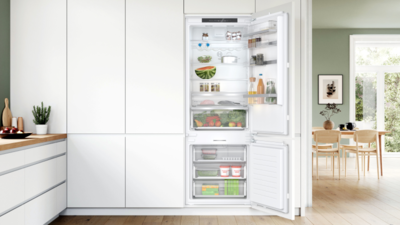 Overview of Fridges and Freezers
