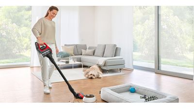  A woman cleaning a living room wooden floor with a vacuum cleaner in front of the sofa and the dog.