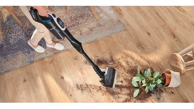 Person vacuuming dirt from a spilled plant on hardwood floor