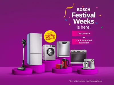 bosch festival weeks