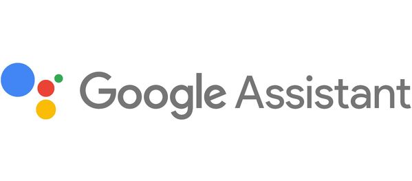 Assistant Google 