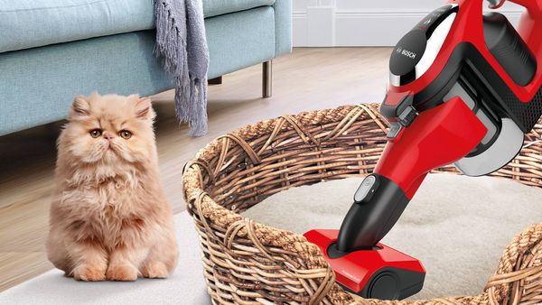 Ein Bosch Akku-Staubsauger wird verwendet, um einen Katzenkorb zu reinigen.
