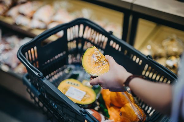 shopping basket in grocery store with pumpkin and vegetables