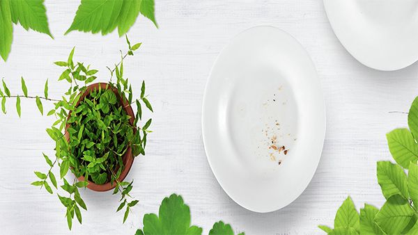 Green plants and a empty dish plate