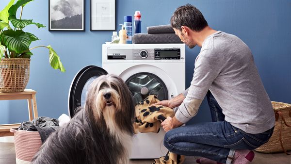 Ein spezielles Allergieprogramm der Waschmaschine hilft bei einer Hundehaarallergie.