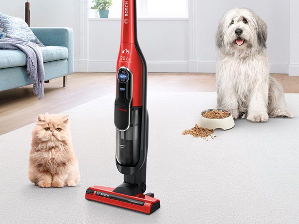 A dog and a cat sit next to a red cordless vacuum for pet hair.
